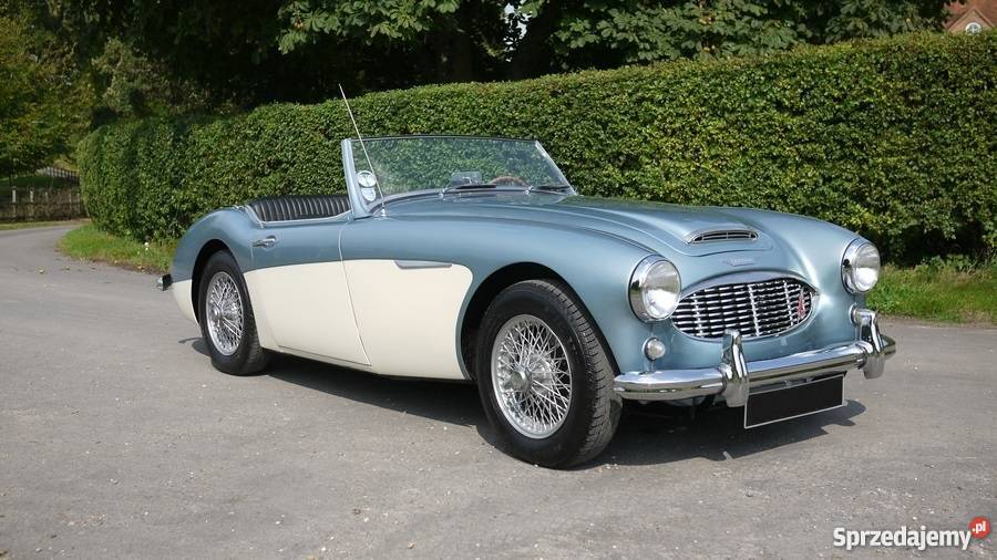 Austin Healey