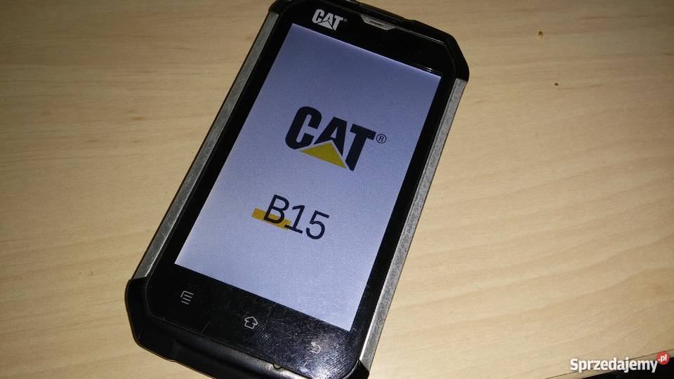 Cat B15