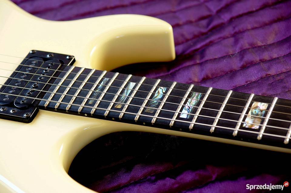 Gitaraelektryczna dostępna w internecie