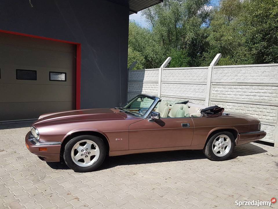 Metaliczny Jaguar