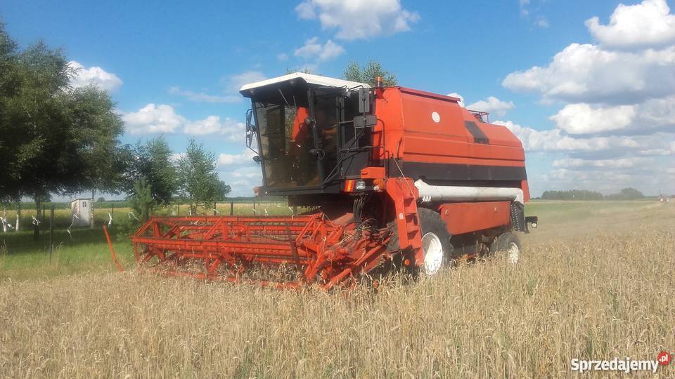Pomarańczowy kombajn Bizon w polu
