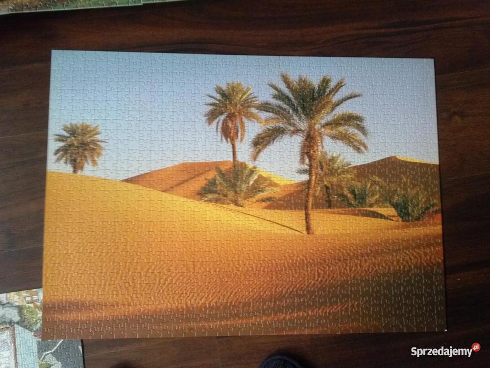 puzzle z pustynią i palmami
