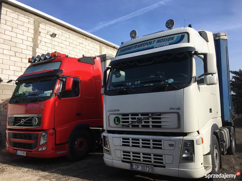 Kiedy warto skorzystać z usług firmy transportowej? Czym się kierować podczas wyboru firmy transportowej?