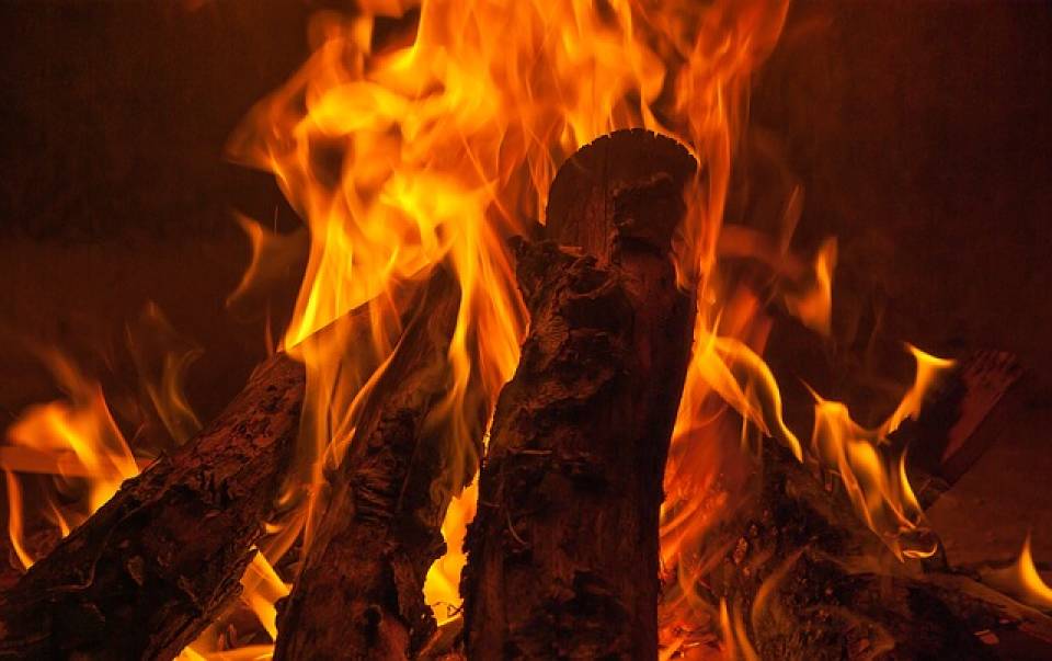 Jaki opał wybrać na zimę? Drewno, węgiel, pellet, co jeszcze?